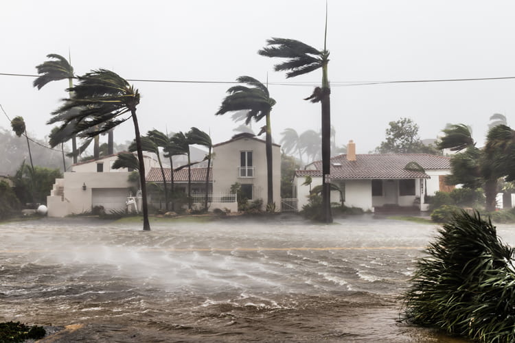Florida Weather and Code Requirements